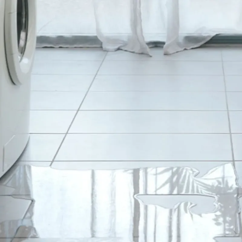 Appliance Leak Cleanup in Graham, WA