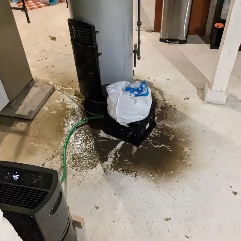 Sewage Backup Cleanup Service in Graham, WA